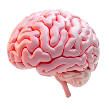 Neurology